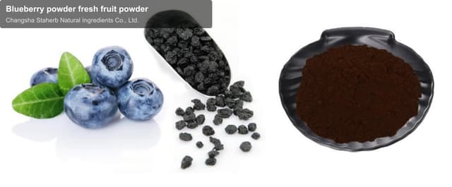 Blueberry powder fresh fruit powder