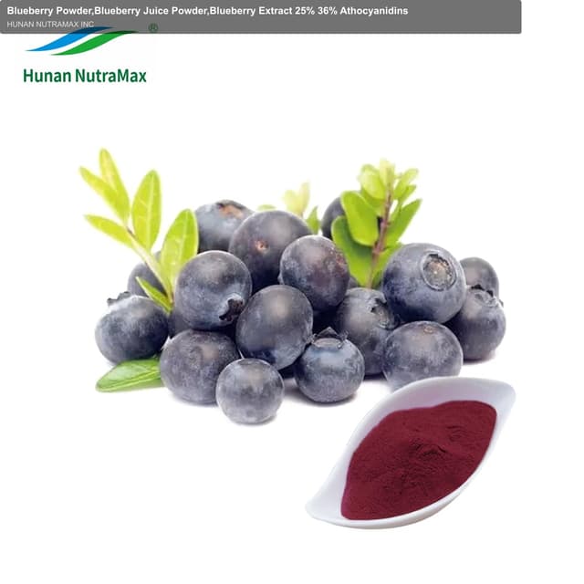 Blueberry Powder,Blueberry Juice Powder,Blueberry Extract 25% 36% Athocyanidins