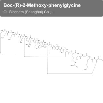 Boc-(R)-2-Methoxy-phenylglycine