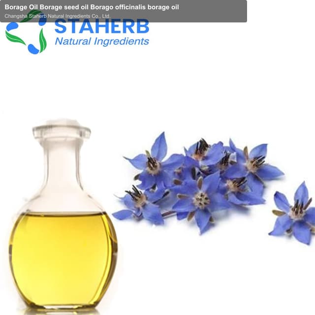 Borage Oil Borage seed oil Borago officinalis borage oil