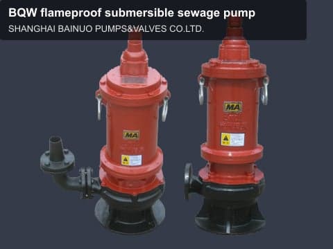 BQW flameproof submersible sewage pump