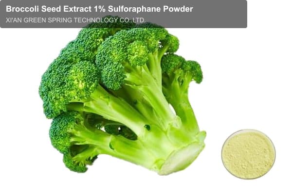 Broccoli Seed Extract 1% Sulforaphane Powder