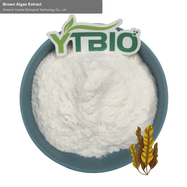 Brown Algae Extract