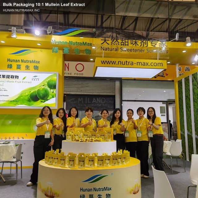 Bulk Packaging 10:1 Mullein Leaf Extract
