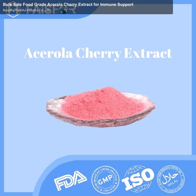 Bulk Sale Food Grade Acerola Cherry Extract for Immune Support