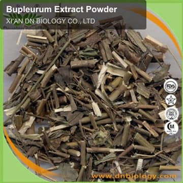 Bupleurum Extract Powder