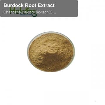 Burdock Root Extract