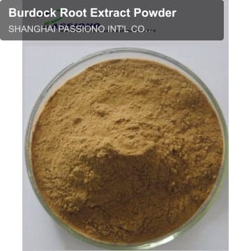 Burdock Root Extract Powder