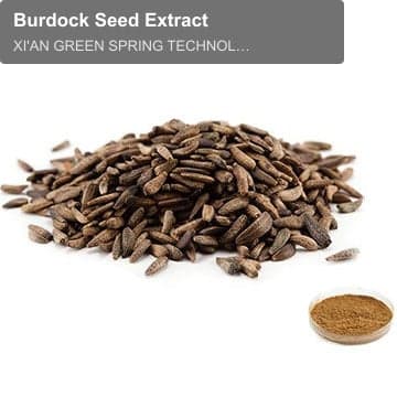Burdock Seed Extract