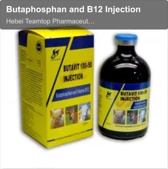 Butaphosphan and B12 Injection