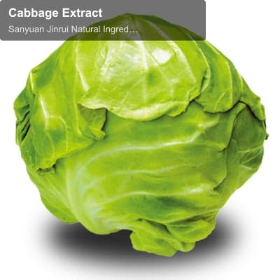 Cabbage Extract