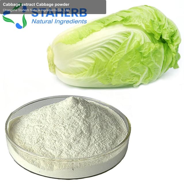Cabbage extract Cabbage powder