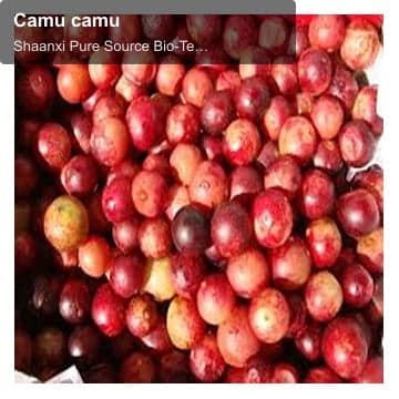 Camu camu