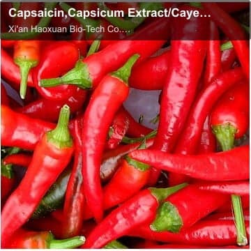 Capsaicin,Capsicum Extract/Cayenne extract/Paprika extract