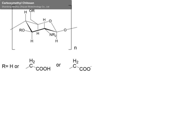 Carboxymethyl Chitosan