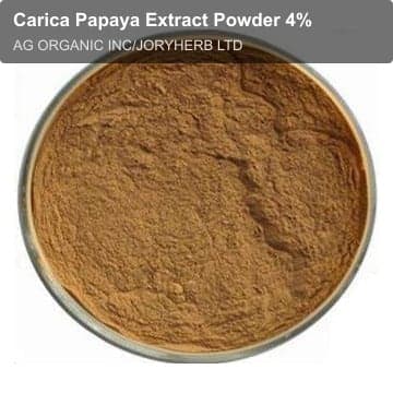 Carica Papaya Extract Powder 4%