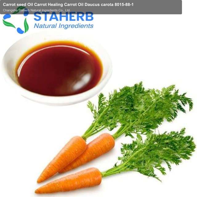 Carrot seed Oil Carrot Healing Carrot Oil Daucus carota 8015-88-1
