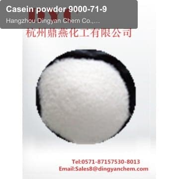 Casein powder 9000-71-9