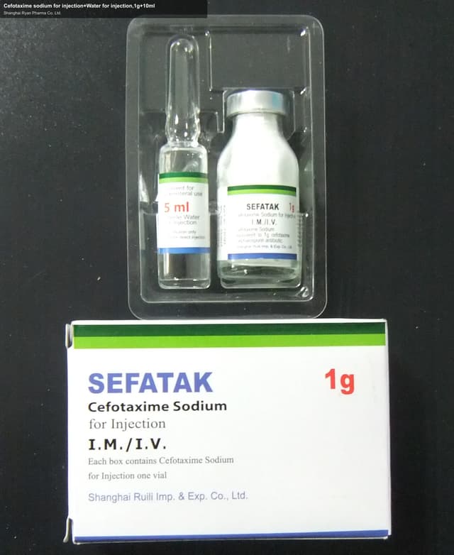 Cefotaxime sodium for injection+Water for injection,1g+10ml