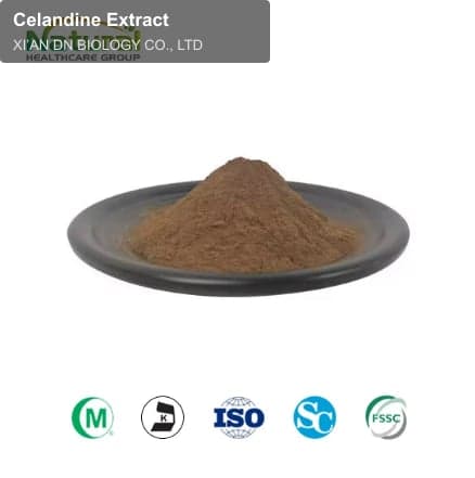 Celandine Extract