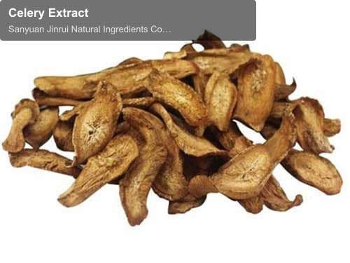 Celery Extract