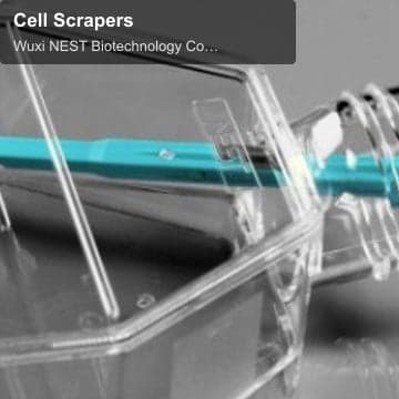 Cell Scrapers
