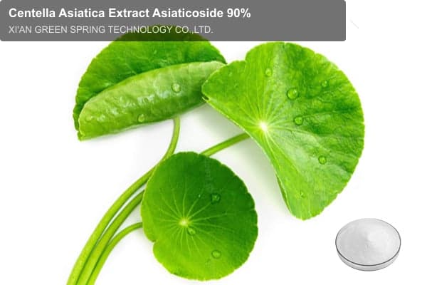 Centella Asiatica Extract Asiaticoside 90%