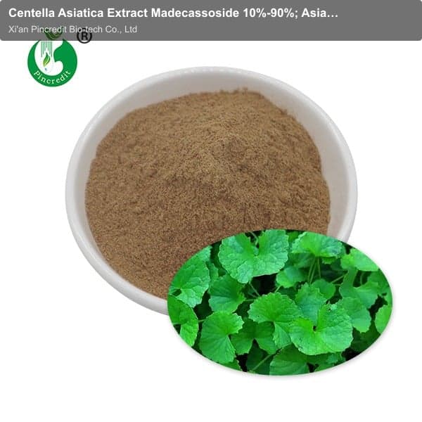 Centella Asiatica Extract Madecassoside 10%-90%; Asiaticoside 10%-90%