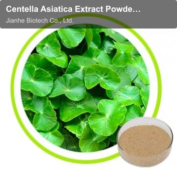 Centella Asiatica Extract Powder 10% 40%