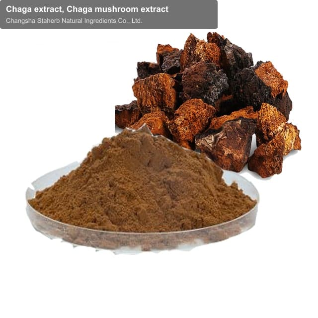 Chaga extract, Chaga mushroom extract