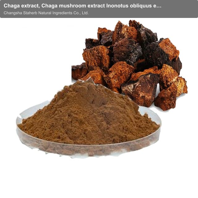 Chaga extract, Chaga mushroom extract Inonotus obliquus extract