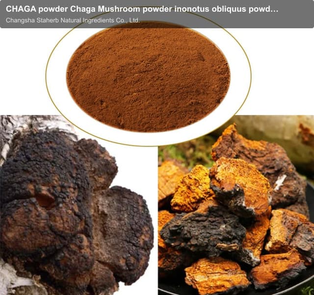 CHAGA powder Chaga Mushroom powder inonotus obliquus powder SUPER CHAGA powder