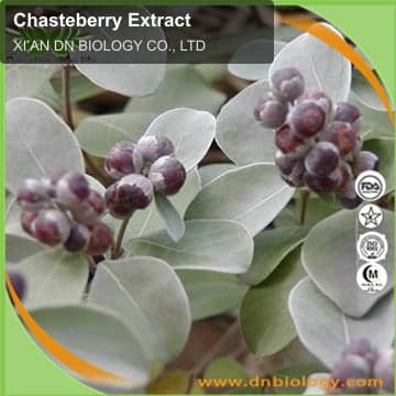 Chasteberry Extract