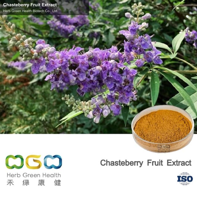 Chasteberry Fruit Extract