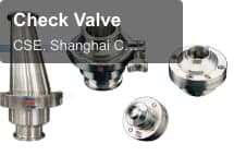 Check Valve