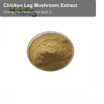 Chicken Leg Mushroom Extract