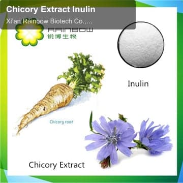 Chicory Extract Inulin