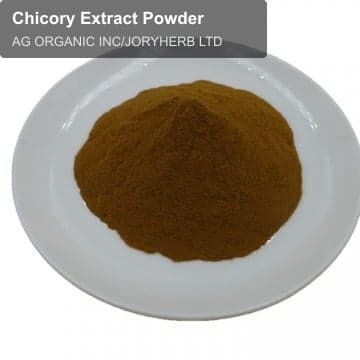 Chicory Extract Powder
