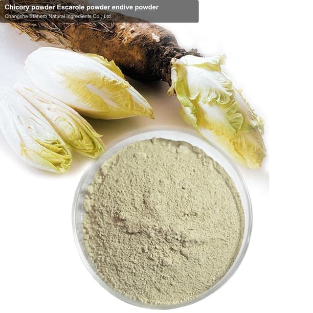 Chicory powder Escarole powder endive powder