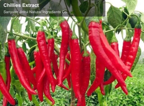 Chillies Extract