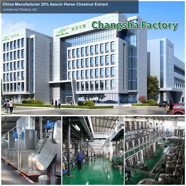 China Manufacturer 20% Aescin Horse Chestnut Extract