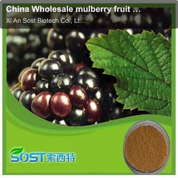 China Wholesale mulberry fruit extract powder