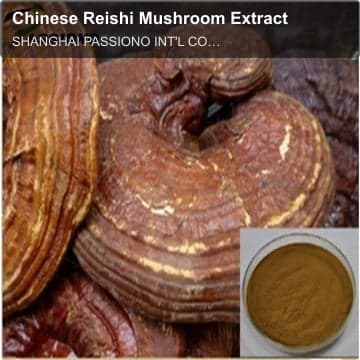 Chinese Reishi Mushroom Extract