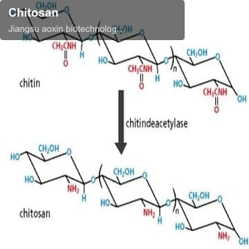 Chitosan
