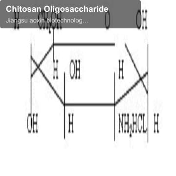 Chitosan Oligosaccharide