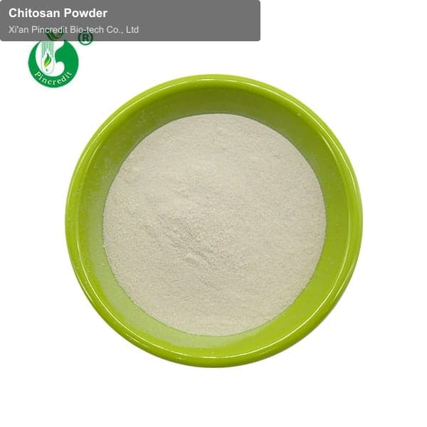 Chitosan Powder