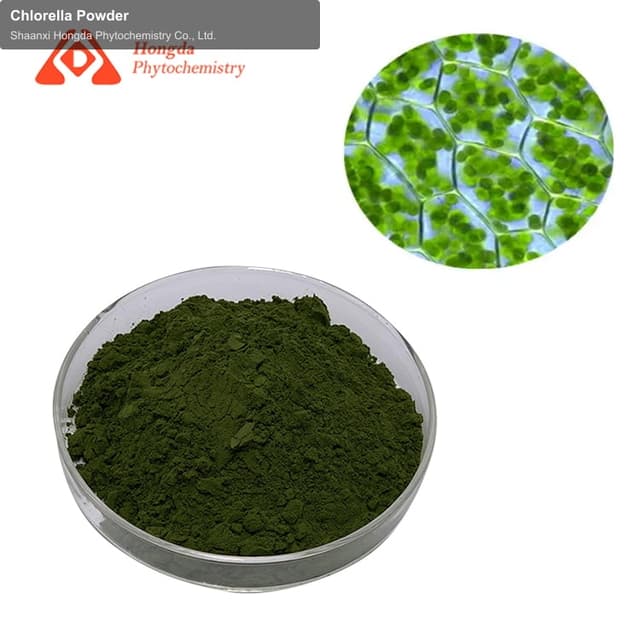 Chlorella Powder