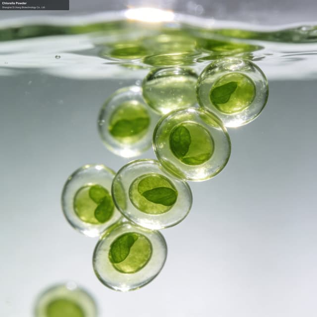 Chlorella Powder