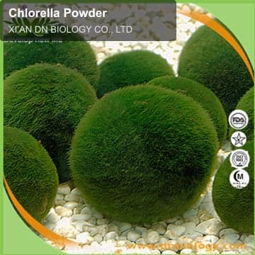 Chlorella Powder