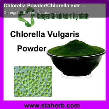 Chlorella Powder/Chlorella extract Powder